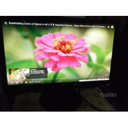 Monitor lcd acer 19 pollici