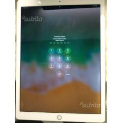LCD/DISPLAY iPad Pro 12.9 usato